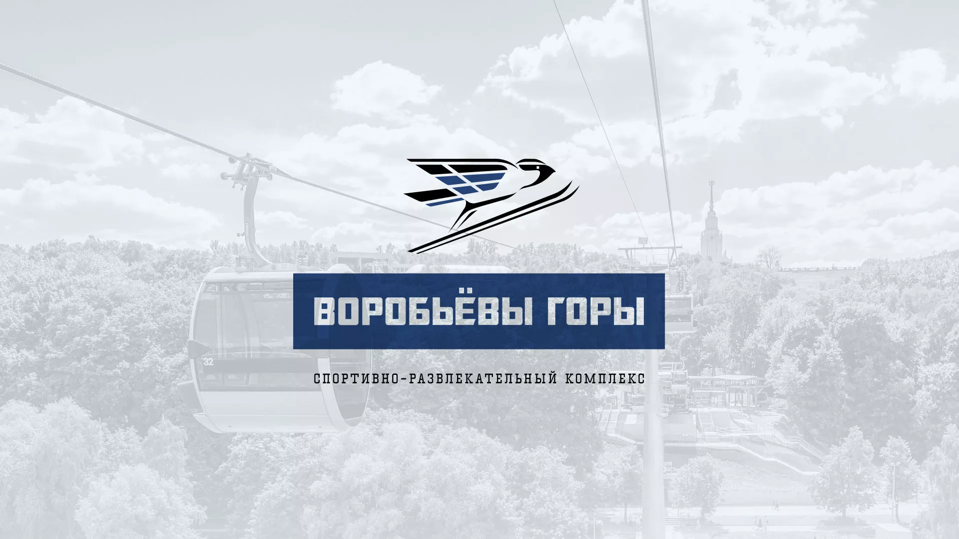 Разработка сайта в Карабаново для спортивно-развлекательного комплекса «Воробьёвы горы»
